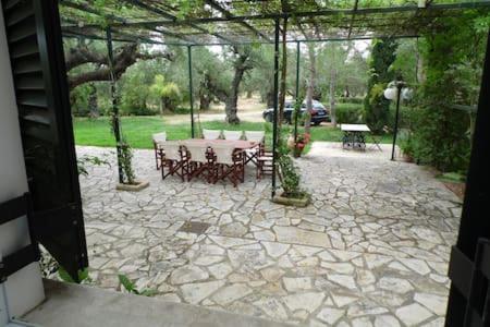 Theni Olive Grove Villa Kato Yerakarion ภายนอก รูปภาพ