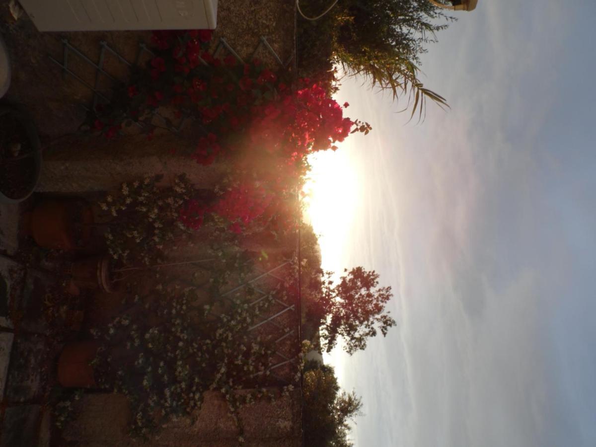 Theni Olive Grove Villa Kato Yerakarion ภายนอก รูปภาพ